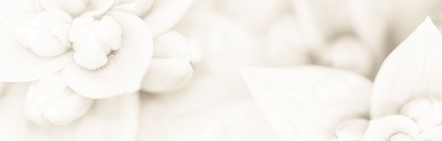 Hypnose à Boulogne sur Mer